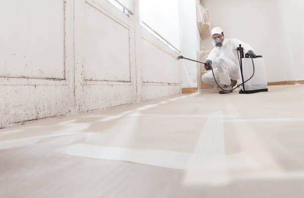 24/7 Emergency Mold Remediation experts in Wallington, NJ