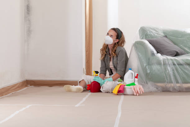Reliable Mold Remediation contractor in Wallington, NJ by 24 Hour Mold Removal